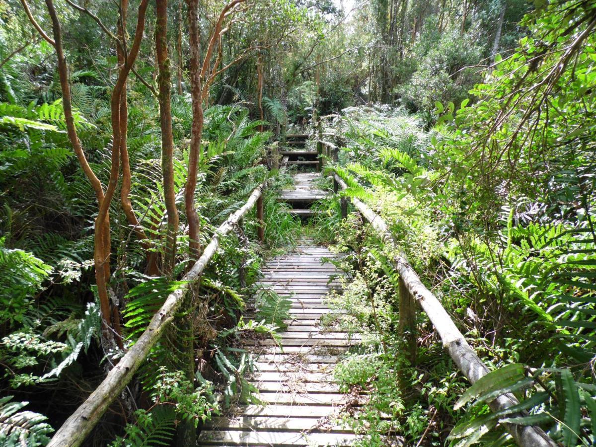 Turismo Del Bosque Apartamento