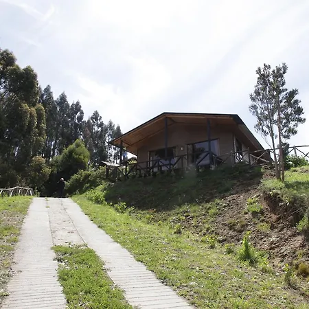 Turismo Del Bosque Apartment Castro Exterior photo