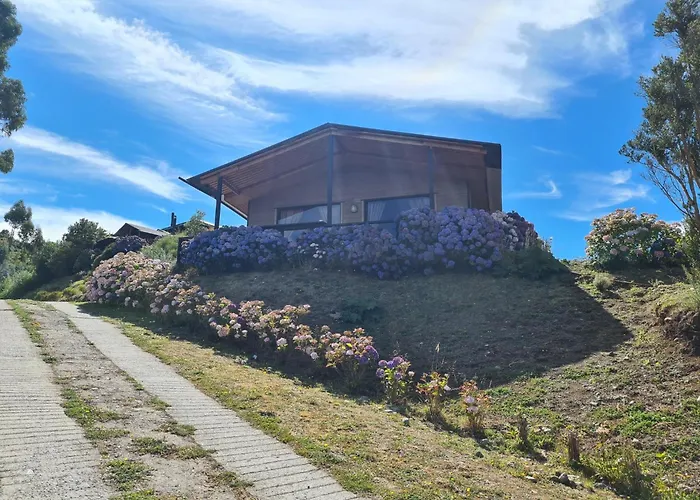Turismo Del Bosque