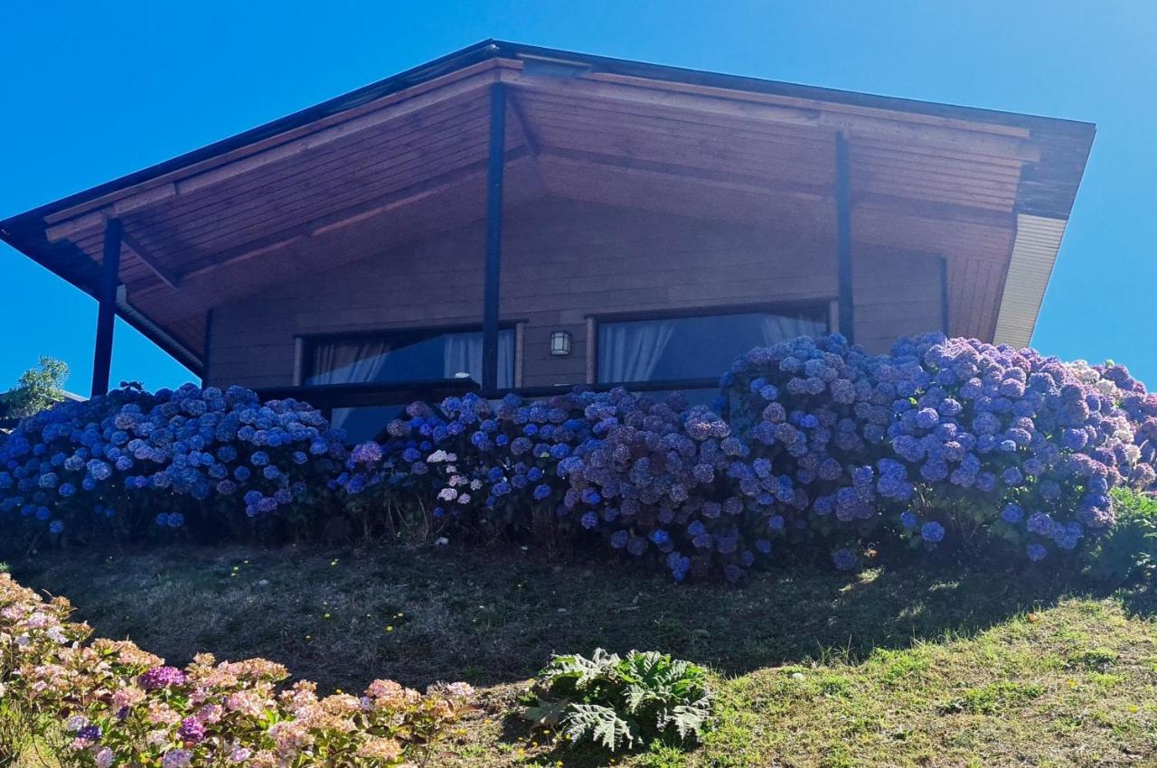 Turismo Del Bosque Apartment Castro