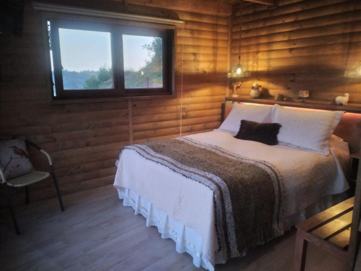 Turismo Del Bosque Apartment *