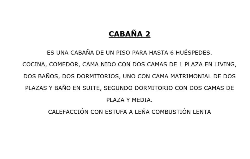 Turismo Del Bosque *