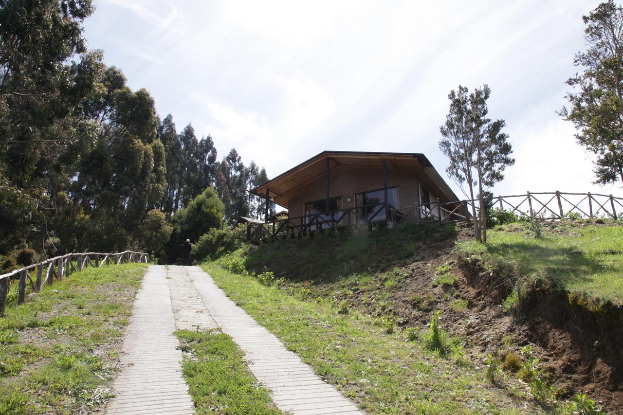 Turismo Del Bosque Apartment *