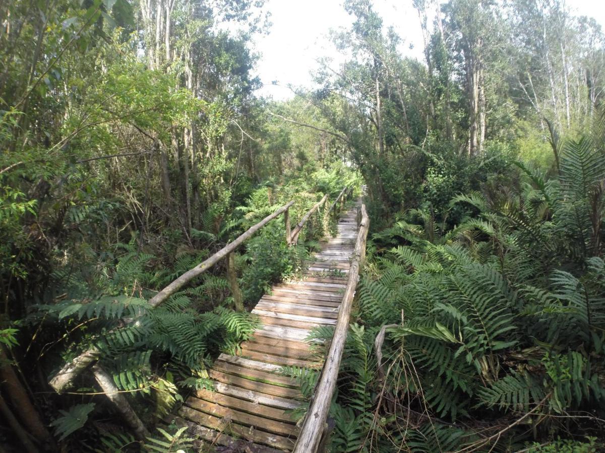 Turismo Del Bosque *